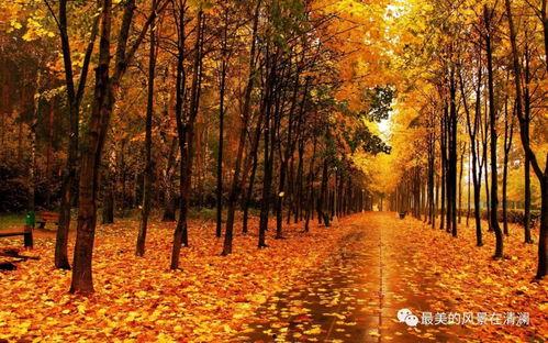 秋天妈妈要努力最新爆料,揭秘育儿路上的奋斗与成长